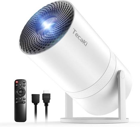 Portable mini home device